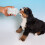 Wit Puppy Melkflessen Gemakkelijk Schoon Te Maken 4