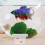 4Stk Schwimmende Brutbox -Layer Fischbrut 7