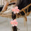 5Stk Rosa Ponytailhalter Haargummis Elastisch Haarschmuck 10