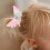 5Stk Rosa Ponytailhalter Haargummis Elastisch Haarschmuck 8