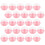 100St Roze Mini Dome Cake Container Voor Opberg En Presentatie 10