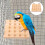 Vogelplatform Khaki Papegaai Training En Speeltuin 6