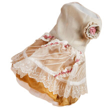 Goldener Haustier Rock Satin Party Kleidung