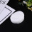 120St Pet Cleaning Tissues Kleur En Vacht 11
