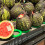 12Stk Grün Antirutsch Melonenhalter Stand 7