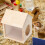 Multifunctioneel Hamsterplatform Multi Voederhuisje 6