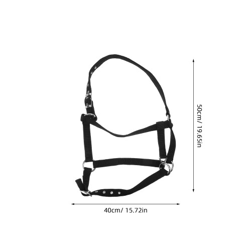 Schwarzes Pferdehalfter Mit Seil Nylon Robust Für Reittraining 1