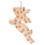 Bijtbestendig Vogel Speelgoed Parakeet Beige 1