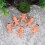 100St Mini Babies Baby Shower Feestartikelen Plastic 6