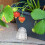 2 Garten Fruchtformwerkzeug Für Melonen 3