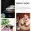 100Pièces Piques Vert Shamrock Décor Party 8