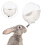 Per Criceti Automatica Antigoccia Pet PP 6