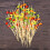 100Pz Decorativi in Colorati Per Cocktail E Frutta 11