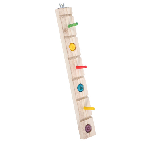 Poleiro De Para Papagaios De Mordida 2
