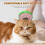 2Pièces Murale Chat ABS Rose Avec Catnip Attrayantes 7