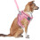 1Conjunto Arnês E Rosa Para Cães Com Material Durável 8