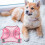 1Conjunto Arnês E Rosa Para Cães Com Material Durável 6
