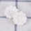 6Ud Soportes Para Blanca Flor Cereza 5