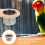 Vogelkäfig Futter- Und Wasserschale Mit Holzdesign 8