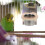 Vogelkäfig Futter- Und Wasserschale Mit Holzdesign 5