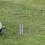 2Pz Con Base A in Per Calcio 8