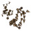 100Ensemble Studs Clous Cônes À Vis Bronze Pour Sacs Chaussures DIY 1