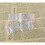 30Ud Transparentes Resistentes Con Pin Para Personalizar 4