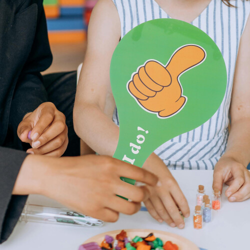 2Pièces Panneaux Voting Plastique Multicolores Double Face Pour Classe 2