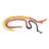 Didáctico Schistosoma Animal Plástico Multicolor Aula 1