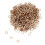 500Pièces Coeurs upés Naturel Beige Pour Table 1