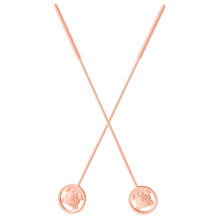 2Pièces Brosse Silicone Rose Pour Pailles Nettoyage Durable