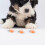 6Pz Tappetino Cane ABS Flessibile 3