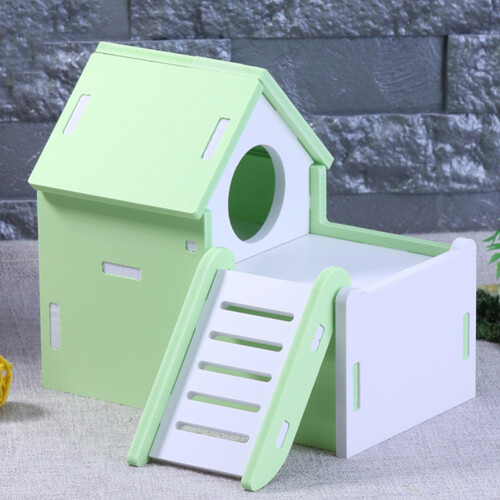 Hamster Naturel Avec Échelle 2