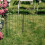 2Pièces Clôture De Cour En Noir Pour Jardin 4