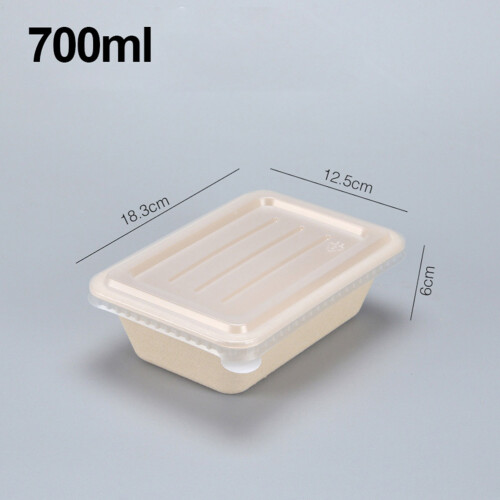 10Pz Box Pranzo Eco-Friendly Usa E Getta E Ristoranti 1