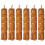 6Pz Gialla Con Candela, Per E 1
