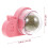 Cataire Adhésive Rose Pour , 3