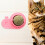 Cataire Adhésive Rose Pour , 9