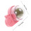 Cataire Adhésive Rose Pour , 2