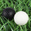 12Pz Giocattoli Golf Palline Morbide Per Esercizio 9