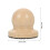 1Set Per Unghie Cane Beige Con Ergonomico Portatile 3