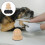 1Set Per Unghie Cane Beige Con Ergonomico Portatile 7
