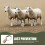 1Set Campane in Metallo Zincato Per Appendere 8