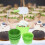 1000Pz Mini Pirottini Per Muffin in Verde Antiolio Per Feste 10