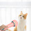 À Chat Rose Antidérapante Usage Facile 4