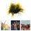 Afro Per Halloween 11