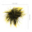Afro Per Halloween 3
