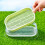 Sprouts Growing Pot Kunststof Kweekt Tray Voor Microgroenten 3