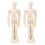 2Pz in Legno Chiarro Poggiapose 9