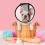Cone ABS Para Cães E Ajustável Antilambida 5